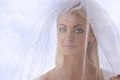 Close-up portrait of bride with veil on the face Royalty Free Stock Photo