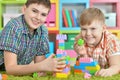 Brothers playing with colorful plastic blocks in room