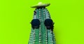 Close-up portrait of cactus with mexican hat and sunglasses, isolated on background of green color.