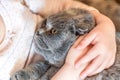 Close-up portrait of cat being hugged by child. Kitten patience. Best friends. Pet care