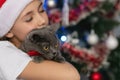 Close-up portrait of a cat. The girl, closing her eyes from tenderness, holds the pet in her arms. The background is blurred. New