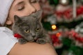 Close-up portrait of a cat. The girl, closing her eyes from tenderness, holds the pet in her arms. The background is blurred. New