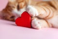 Close-up portrait of cat paws holding red paper heart on pink background. Greeting card for Valentines day. Concept help homeless