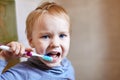 Close up portrait of cute caucasian baby boy with very serious face expression trying to clean the teeth with teeth brush, by hims