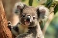 Portrait of a Cute Koala Cub in a forest AI Generative Royalty Free Stock Photo
