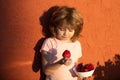 Close up portrait cute little boy holding a strawberry. Lovely child eating strawberries. Royalty Free Stock Photo