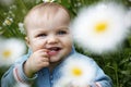 Close-up portrait of a cute 10-month-old caucasian baby boy in the middle of a meadow with blooming daisies