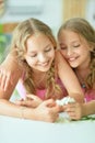 Close up portrait of cute twin sisters with flower