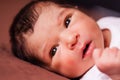 Close up portrait of a cute two weeks old newborn baby girl Royalty Free Stock Photo