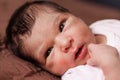 Cute two weeks old newborn baby girl lying down Royalty Free Stock Photo