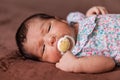 Cute two weeks old newborn baby girl with a pacifier Royalty Free Stock Photo