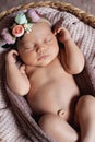 Close-up portrait of 10 days old newborn baby girl sleeping in basket. Royalty Free Stock Photo