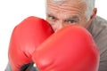 Close-up portrait of a determined senior boxer Royalty Free Stock Photo