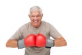 Close-up portrait of a determined senior boxer Royalty Free Stock Photo