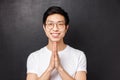 Close-up portrait of friendly, polite and relaxed young asian man with happy smile, hold hands in pray, palms pressed