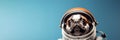 Close up portrait of funny dog wearing spacesuit on blue background Royalty Free Stock Photo