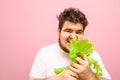 Close up portrait of a funny fat young man with a beard, biting lettuce and looking into the camera with a funny face. Guy in the Royalty Free Stock Photo