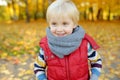 Close up portrait of glad little boy during stroll in the forest at sunny autumn day Royalty Free Stock Photo