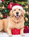 Close-up portrait of a golden retriever with a bow on it's head next to a stack of Christmas gifts. AI generated.