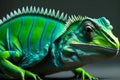 close up portrait of a green chameleon background
