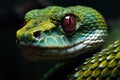 Close-up portrait of a green pit viper with red eye, snake elaphe dione, AI Generated Royalty Free Stock Photo