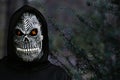 Close-up portrait of grim reaper. Man in death mask with fire flame in eyes on dark black nature juniper plant Royalty Free Stock Photo