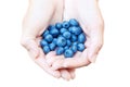 Close up portrait of handful of fresh blueberries