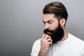 Close up portrait of handsome masculine young bearded man is keeping hand on beard and looking down, on a gray studio background Royalty Free Stock Photo