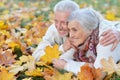 Close up portrait of happy senior couple lying in park Royalty Free Stock Photo