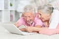 Close up portrait of happy senior couple using laptop Royalty Free Stock Photo