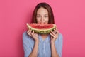 Close up portrait of happy beautiful young woman with dark straight hair eating big slice of watermelon isolated over rose Royalty Free Stock Photo