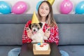 Close-up Portrait of a happy girl with her funny pet dog Jack Russell Terrier dog celebrating her birthday at home. Design by cake Royalty Free Stock Photo