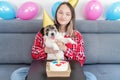 Close-up Portrait of a happy girl with her funny pet dog Jack Russell Terrier dog celebrating her birthday at home. Design by cake Royalty Free Stock Photo