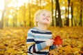 Close up portrait of happy little boy during stroll in the forest at sunny autumn day Royalty Free Stock Photo