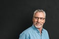 Close up portrait of a happy mature man dressed in shirt Royalty Free Stock Photo