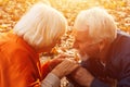 Close up portrait of a happy old man kissing his wife`s hands. In the park in autumn foliage a happy couple is resting Royalty Free Stock Photo