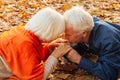 Close up portrait of a happy old man kissing his wife`s hands. In the park in autumn foliage a happy couple is resting Royalty Free Stock Photo