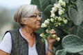 Close up portrait of happy older woman standing outside in summer Royalty Free Stock Photo