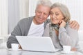 Close up portrait of happy senior bookkeepers working