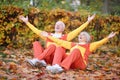 Portrait of happy senior couple in autumn park Royalty Free Stock Photo