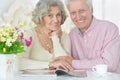 Close up portrait of happy senior couple drinking tea Royalty Free Stock Photo