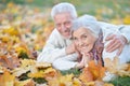 Close up portrait of happy senior couple lying in park Royalty Free Stock Photo