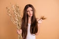 Close-up portrait of her she nice-looking attractive grumpy gloomy lady holding in hand dried flower messy thin weak