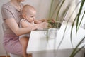 Close up portrait little baby boy funny facial expression sitting on mother`s lap studying laptop. Young mom work from home with