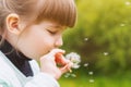 Close-up portrait of a little girl blowing on the head of a dandelion in a green meadow. A charming little baby blows on a