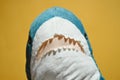 Close up portrait of marine predator toy. Mouth open and teeth stick out. Stuffed toy for children. Blue plush shark on Royalty Free Stock Photo
