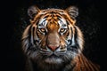 A close up portrait of mesmerizing tiger photography created with generative AI technology Royalty Free Stock Photo