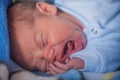 Close up portrait of a newborn baby boy crying in the bed Royalty Free Stock Photo