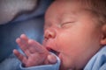 Close up portrait of a newborn baby boy sleeping Royalty Free Stock Photo