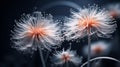 Futuristic Organic Dandelion Flowers - Digital Art Photography